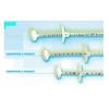 Conmed Entake Peg System Disposable