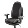 osaki-shiatsu-massaging-back-seat
