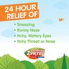 Zyrtec 24 Hour Children's Allergy Syrup with Cetirizine HCl