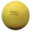 Physical Therapy Balls - Yellow