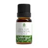 Pursonic Natural Aromatherapy Essential Oil