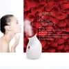Pursonic-Facial-Steamer