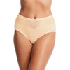 QT Intimates Modern Panty With Lace Insert - Sand