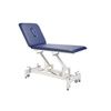 Everyway4all 2-Section Physical Therapeutic Therapy Treatment Table