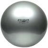 TheraBand Exercise Ball - Silver