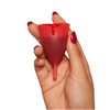 The Honey Pot Menstrual Cup