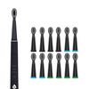 USB Rechargeable Sonic toothbrush-Black