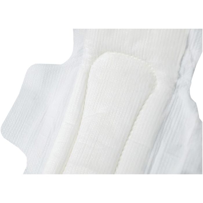 Secure Personal Care TotalDry Incontinence Light Pad Without Wings