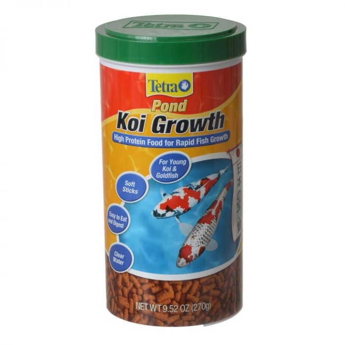 Koi best sale fish growth