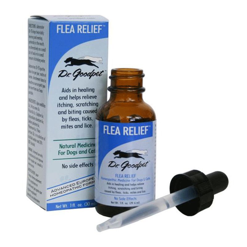 Homeopathic remedy for sales fleas