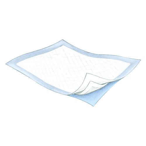 https://i.webareacontrol.com/fullimage/1000-X-1000/1/l/14920152511griffin-care-passport-absorbent-underpad-l-P.png