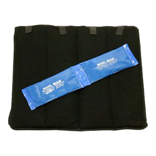 https://i.webareacontrol.com/fullimage/1000-X-1000/1/l/19720163430polar-kool-max-cooling-seat-and-back-cushion-with-kool-max-packs-ig-l-L.png