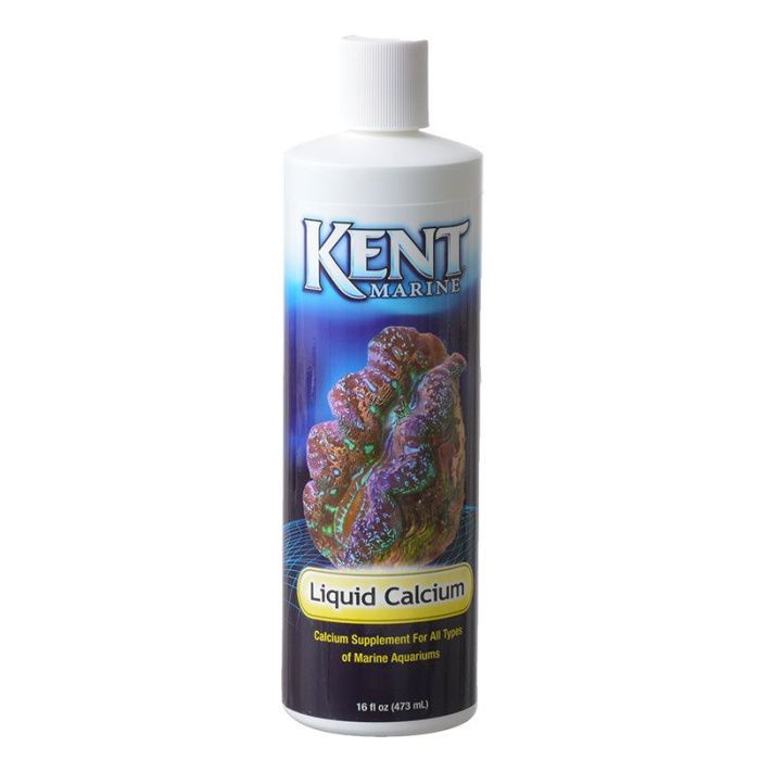 Kent marine best sale bio reef