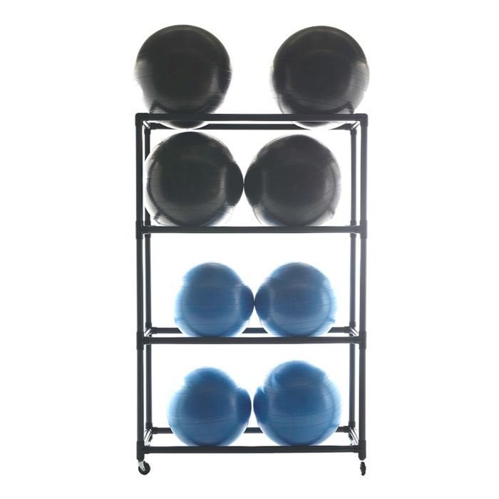wall mount xl exercise ball