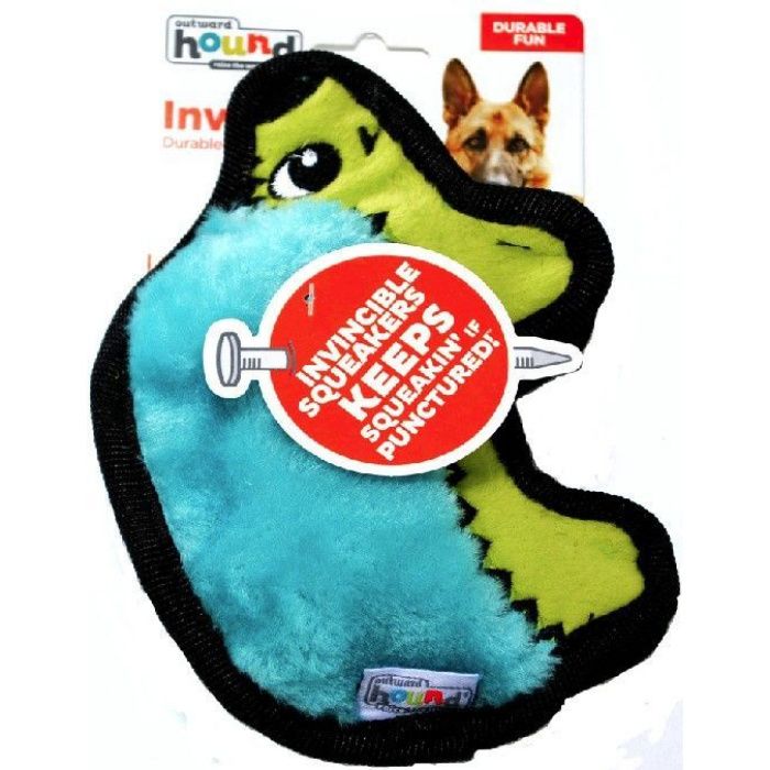 https://i.webareacontrol.com/fullimage/1000-X-1000/7/0/742022454outward-hound-invincibles-minis-turquoise-hedgehog-dog-toy-32012-1654162359760-P.jpeg