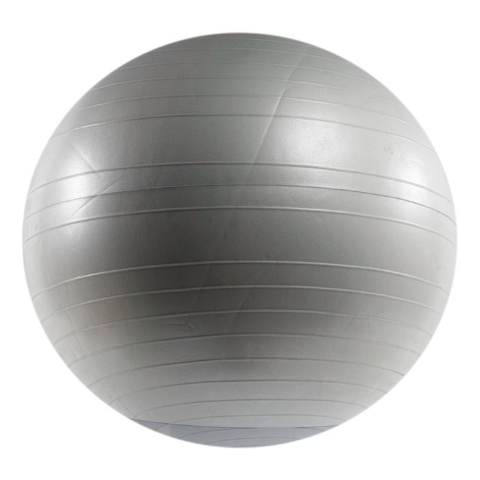 EXERCISE BALLS – Strength Pro Equipment