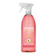 Method All Surface Cleaner - MTH00010