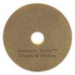 Scotch-Brite Clean & Shine Pad
