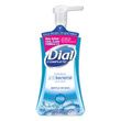 Dial Antibacterial Foaming Hand Wash - DIA05401