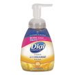 Dial Professional Antimicrobial Foaming Hand Wash - DIA06001
