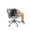 Vive Inflatable Lumbar Support