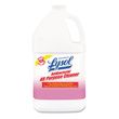 Professional LYSOL Brand Antibacterial All-Purpose Cleaner Concentrate