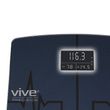 Vive Heart Rate ITO Scales