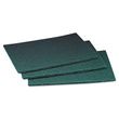 Scotch-Brite PROFESSIONAL Commercial Scouring Pad 96 - MMM08293