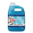 Mr. Clean Professional Glass and Multi-Surface Cleaner with Scotchgard Protector - PGC81633