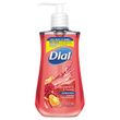 Dial Antibacterial Liquid Hand Soap - DIA08513