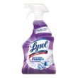 LYSOL Brand Mold & Mildew Remover with Bleach