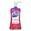 Dial Antibacterial Foaming Hand Wash - DIA03016