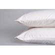 Sleep and Beyond Organic Cotton Percale Pillowcase Pair