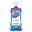 Dial Antibacterial Foaming Hand Wash - DIA02936EA