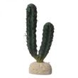 Exo-Terra Desert Cactus Terrarium Plant