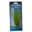 Marina Hairgrass Plant-8inch
