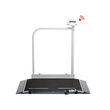 Seca Electronic Wheelchair Scale With Handrail And Transport Castors