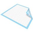 Secure Personal Care TotalDry Underpads
