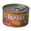 Zoo-Med-Tropical-Friut-Mix-ins-Papaya-Reptile-Treat