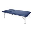 Armedica Electric Hi-Lo Steel Mat Table With Adjustable Backrest