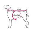 Mirage Clear Paw Rhinestone Dog Dress - Measurement of Pet