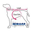 Mirage Heart and Crossbone Rhinestone Dog Dress - Measurement of Pet