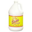 Sparkle Glass Cleaner - FUN20500CT
