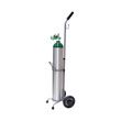 Responsive Respiratory E Cylinder - 8 LPM Regulator And Cart Kit