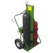 Saf-T-Cart 550 Series Cart 552-16FW