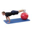  OPTP Gymnic Classic Plus Exercise Ball
