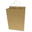 COSCO Premium Shopping Bag