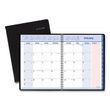 AT-A-GLANCE QuickNotes Special Edition Monthly Planner