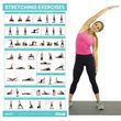 Vive Stretching Workout Poster