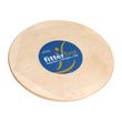 Fitterfirst Professional Balance Board
